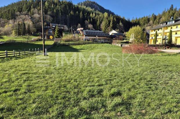 Grundstück kaufen in 8983 Bad Mitterndorf (Bild 3)