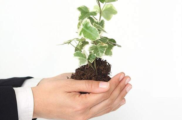 Anlageobjekt kaufen in 5020 Salzburg (Bild 3)