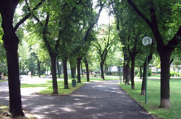 Gewerbeobjekt kaufen in 1120 Wien (Bild 5)