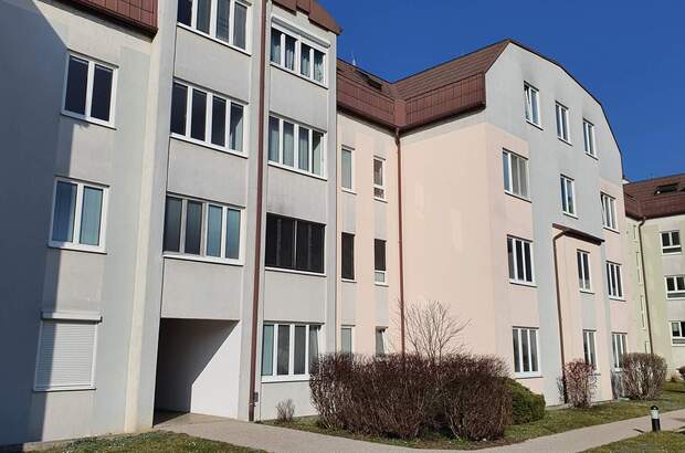 Wohnung mieten in 3500 Krems (Bild 3)