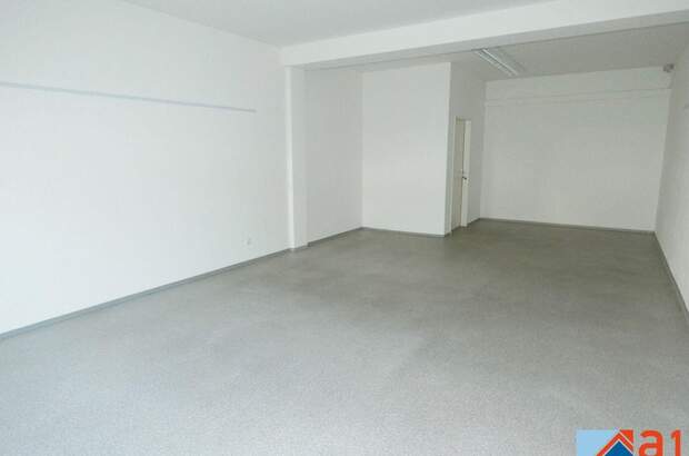 Gewerbeobjekt mieten in 4050 Traun (Bild 1)