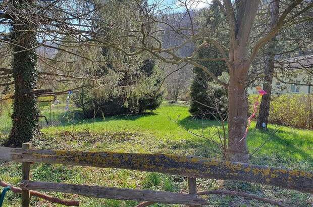 Grundstück kaufen in 3400 Maria Gugging (Bild 2)