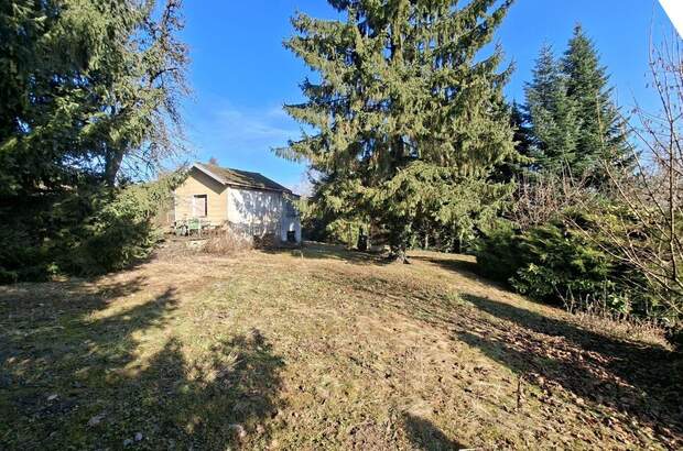 Gewerbeobjekt kaufen in 4060 Leonding (Bild 1)