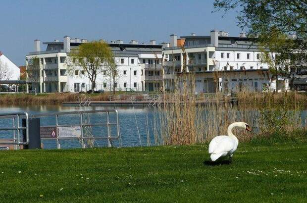 Terrassenwohnung mieten in 2331 Vösendorf (Bild 1)