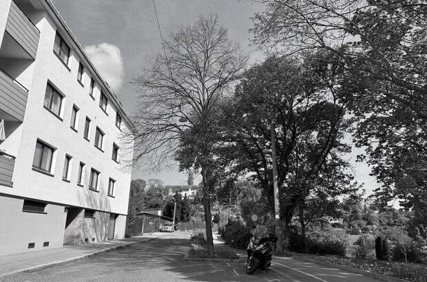 Terrassenwohnung mieten in 1190 Wien (Bild 1)