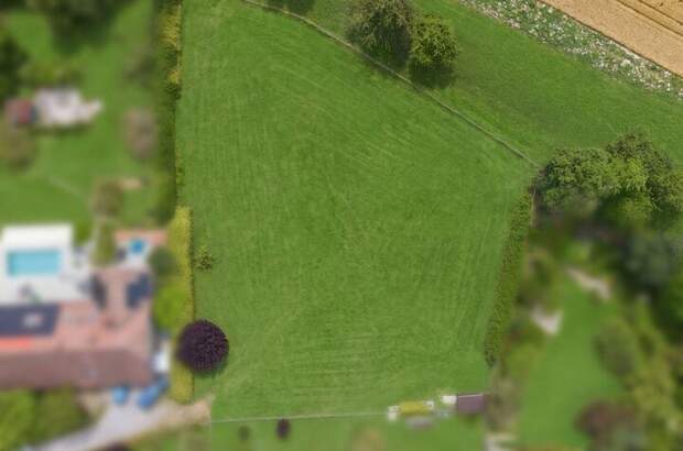 Grundstück kaufen in 4209 Engerwitzdorf (Bild 1)