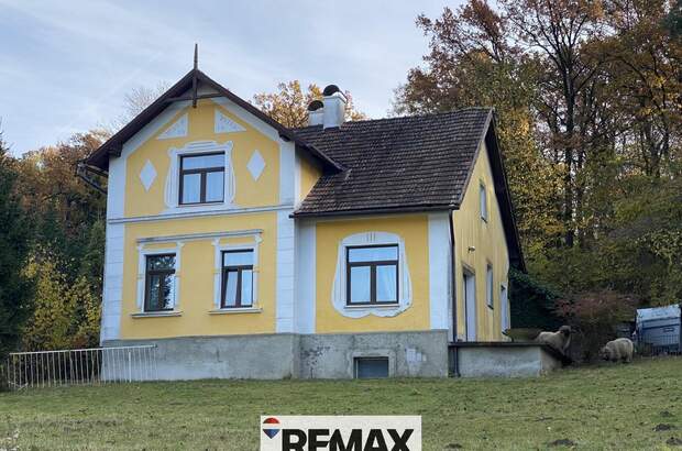 Einfamilienhaus kaufen in 3452 Atzenbrugg (Bild 1)