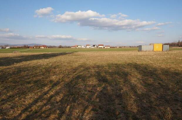 Grundstück kaufen in 4064 Oftering (Bild 1)