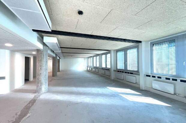 Gewerbeobjekt mieten in 1020 Wien (Bild 1)
