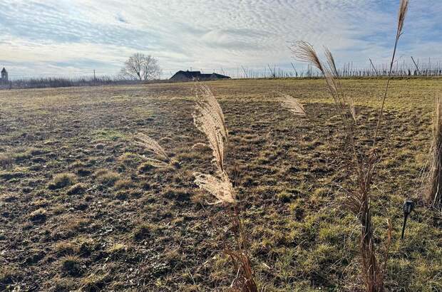 Grundstück kaufen in 8380 Jennersdorf (Bild 5)