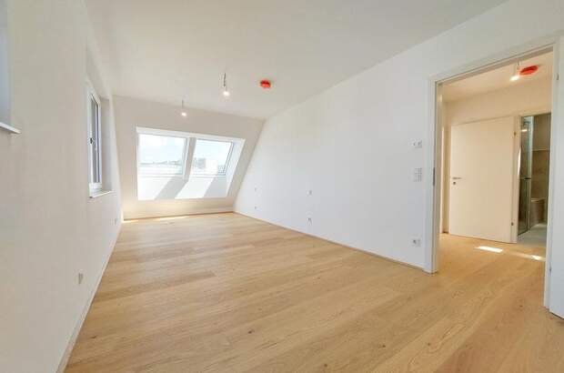 Terrassenwohnung kaufen in 1220 Wien (Bild 3)