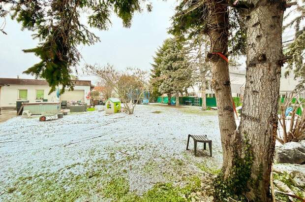 Grundstück kaufen in 1220 Wien (Bild 1)