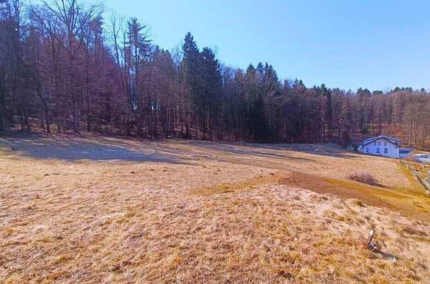 Grundstück kaufen in 8071 Hausmannstätten (Bild 1)