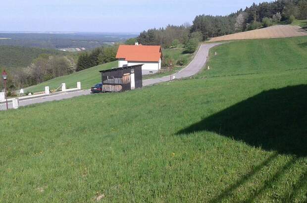 Grundstück mieten in 7441 Pilgersdorf (Bild 1)