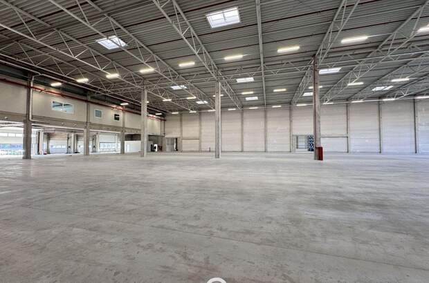 Gewerbeobjekt mieten in 4470 Enns (Bild 2)