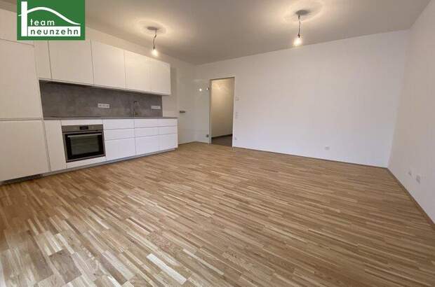 Terrassenwohnung mieten in 1230 Wien (Bild 1)