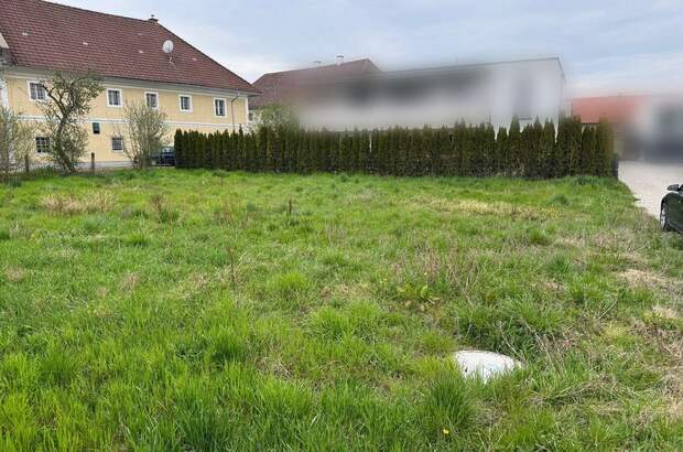 Grundstück kaufen in 4063 Breitbrunn (Bild 2)