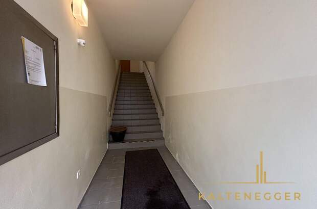 Anlageobjekt kaufen in 2700 Wiener Neustadt (Bild 3)