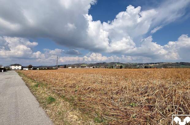 Grundstück kaufen in 4782 Sankt Florian (Bild 1)