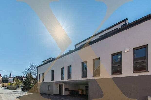 Terrassenwohnung kaufen in 4600 Thalheim (Bild 1)