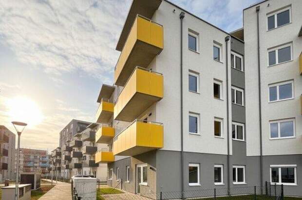 Terrassenwohnung mieten in 2700 Wr. Neustadt (Bild 1)