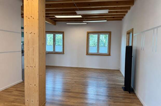Haus mit Garten kaufen in 4240 Schöndorf (Bild 3)