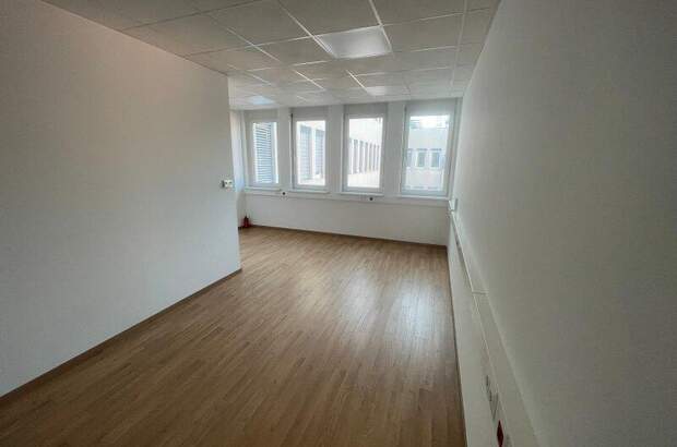 Büro / Praxis mieten in 2351 Wr. Neudorf (Bild 4)