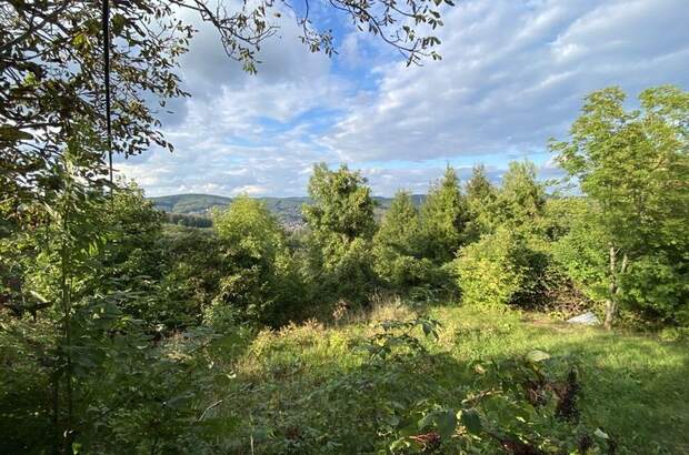 Grundstück kaufen in 1140 Wien (Bild 2)