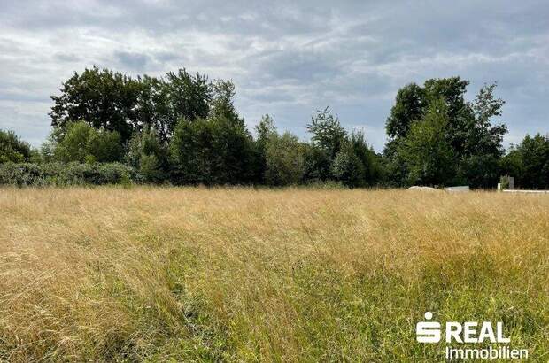 Grundstück kaufen in 4971 Aurolzmünster (Bild 2)