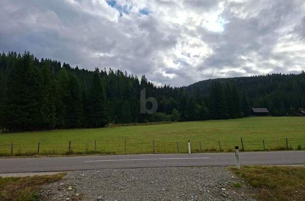 Grundstück kaufen in 9346 Glödnitz (Bild 4)