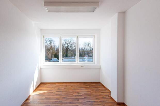 Gewerbeobjekt mieten in 4664 Oberweis (Bild 5)