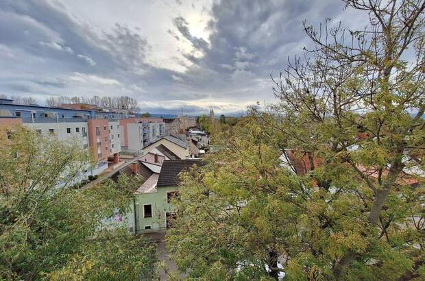 Wohnung mit Balkon kaufen in 2700 Wiener Neustadt (Bild 4)