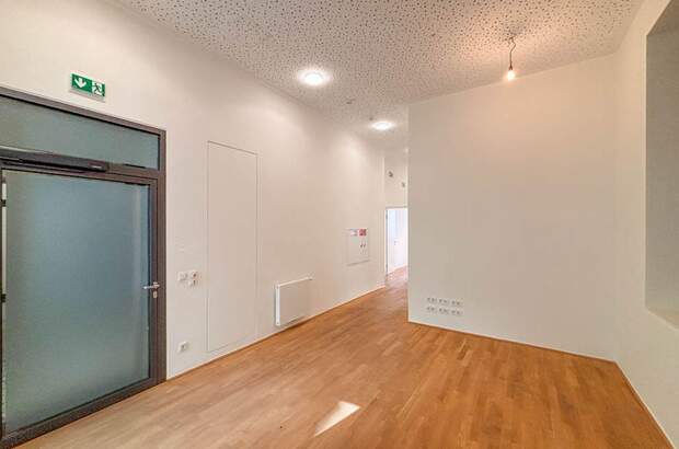 Gewerbeobjekt mieten in 1010 Wien (Bild 4)