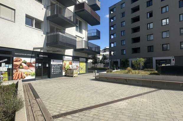 Gewerbeobjekt mieten in 1220 Wien (Bild 2)