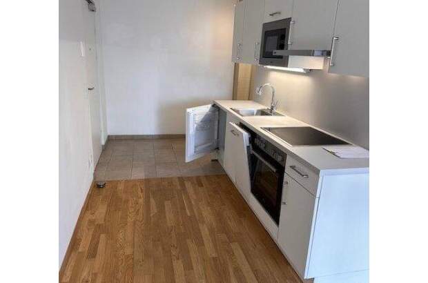 Terrassenwohnung mieten in 1220 Wien (Bild 3)