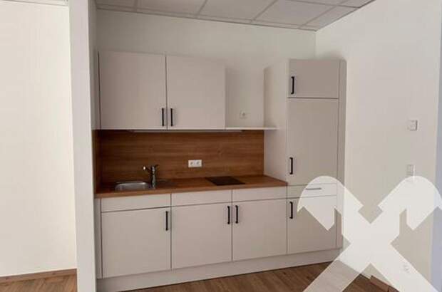 Gewerbeobjekt mieten in 8501 Lieboch (Bild 3)