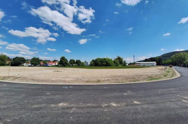 Gewerbeobjekt kaufen in 2560 Berndorf (Bild 3)