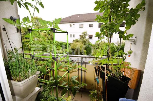 Terrassenwohnung kaufen in 4020 Linz (Bild 4)