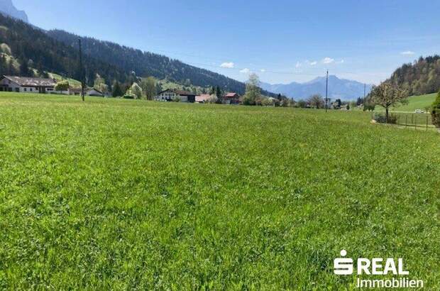 Grundstück kaufen in 6344 Walchsee (Bild 5)