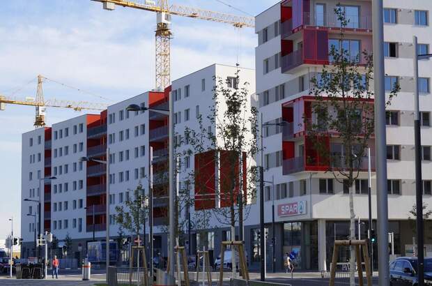 Einzelhandel mieten in 1220 Wien (Bild 3)
