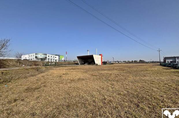 Gewerbeobjekt kaufen in 4614 Marchtrenk (Bild 1)