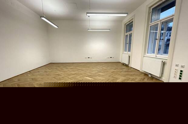 Gewerbeobjekt mieten in 1060 Wien (Bild 5)