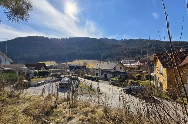 Grundstück kaufen in 8605 Kapfenberg (Bild 3)