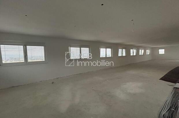 Gewerbeobjekt kaufen in 8401 Kalsdorf (Bild 4)