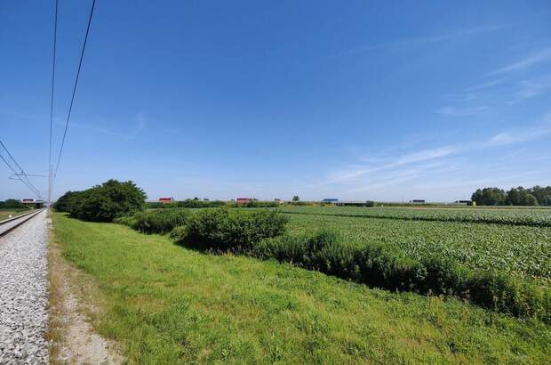 Gewerbeobjekt kaufen in 9231 Beltinci (Bild 4)