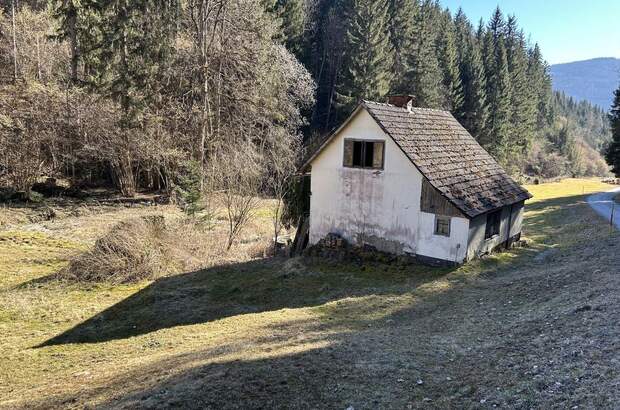 Haus kaufen in 9361 St. Salvator (Bild 1)