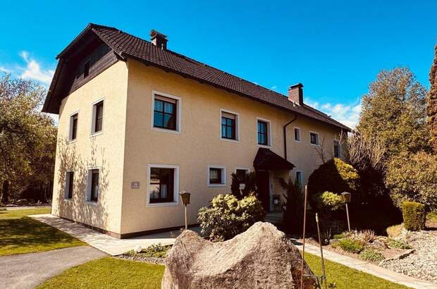 Gewerbeobjekt kaufen in 4284 Stranzberg (Bild 4)