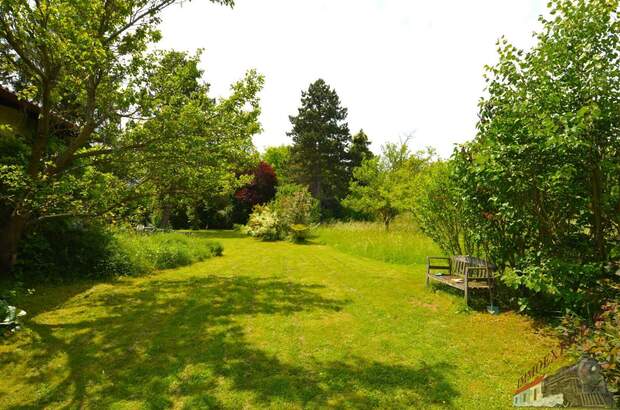 Grundstück kaufen in 2721 Bad Fischau (Bild 2)