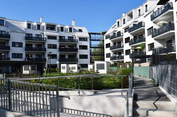 Terrassenwohnung mieten in 2700 Wr. Neustadt (Bild 5)