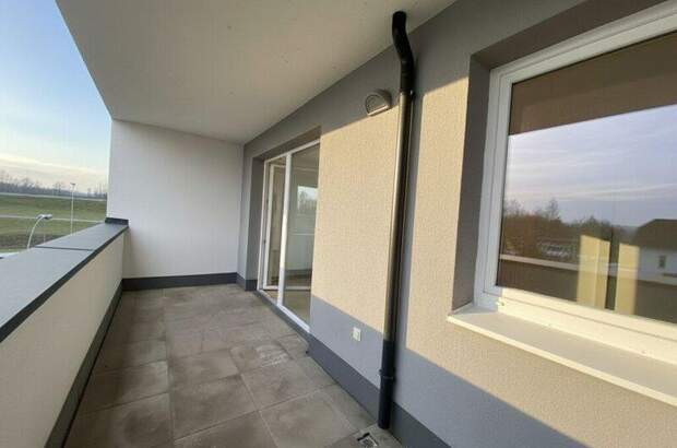 Terrassenwohnung mieten in 3321 Ardagger (Bild 5)